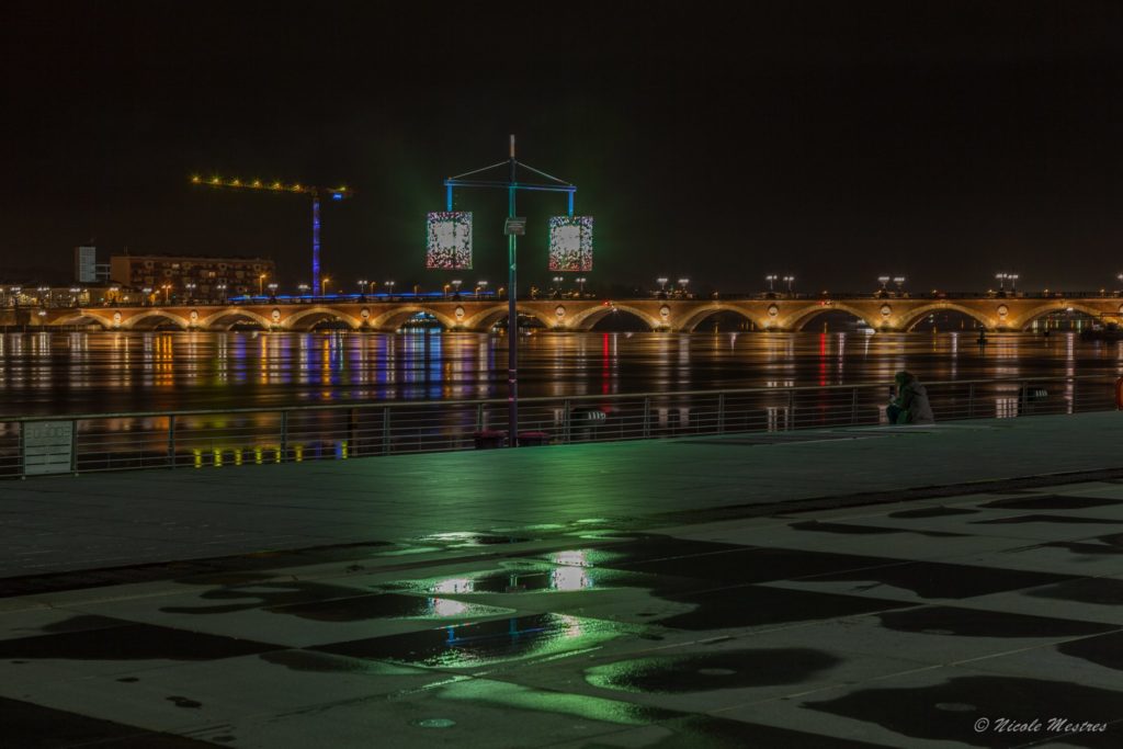 Crédit : Nicole MESTRES