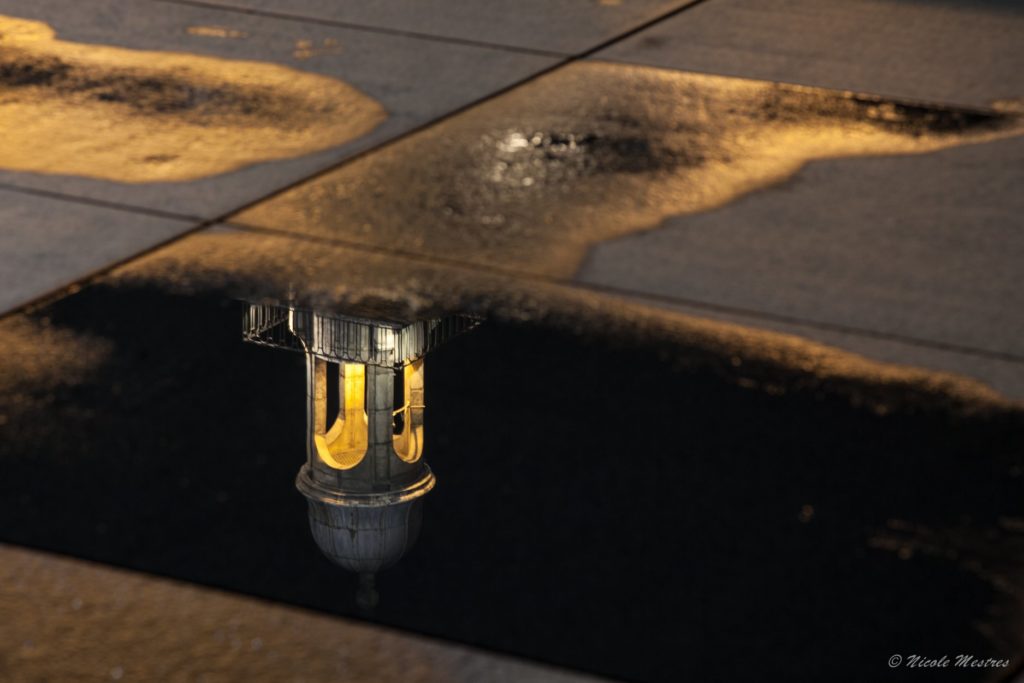 Crédit : Nicole MESTRES